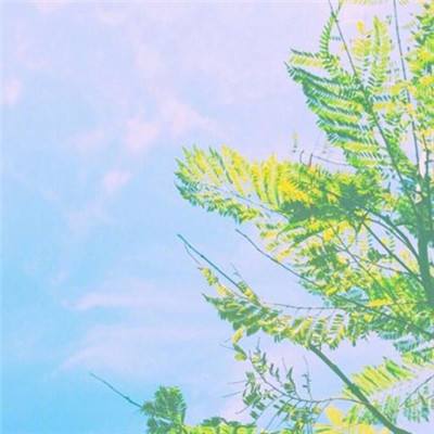 女儿成长日记游戏破解版下载